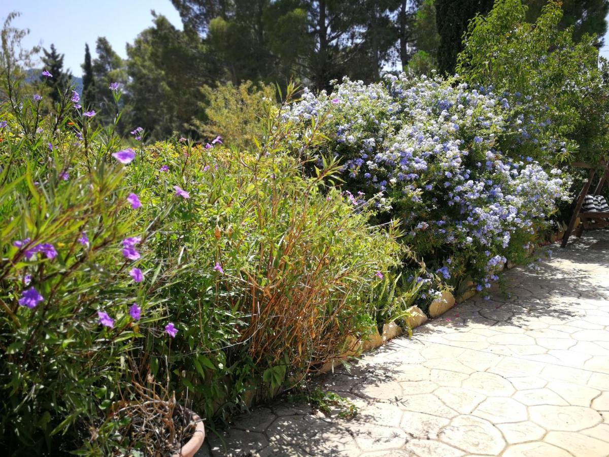 Villa Murgia Solanas  Εξωτερικό φωτογραφία