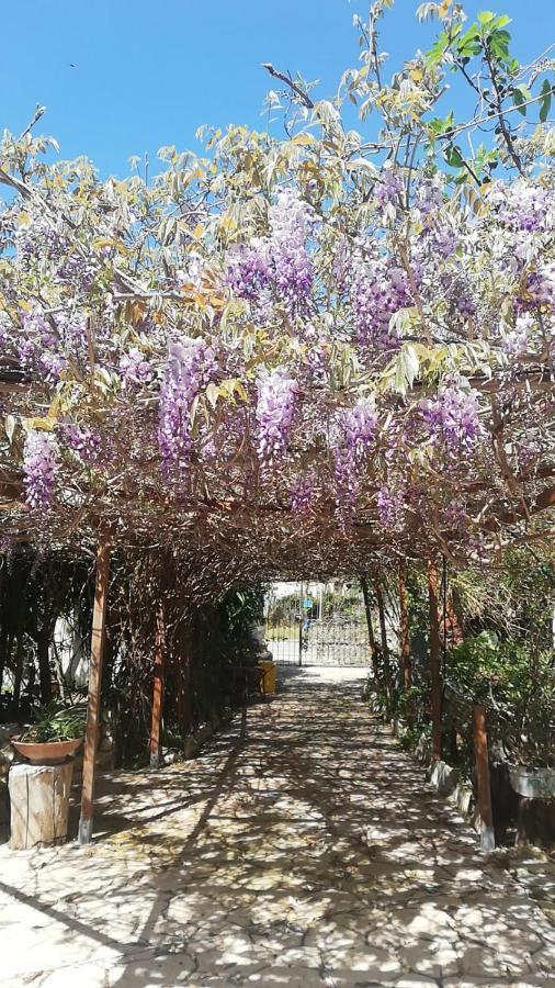Villa Murgia Solanas  Εξωτερικό φωτογραφία